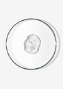 BABE-FAC-009 foto 4